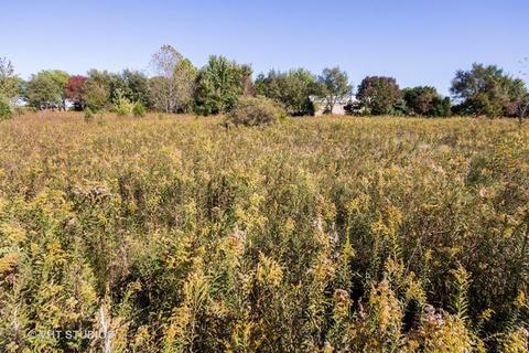 26019 W Renwick Rd, Plainfield, IL 60544 photo 8