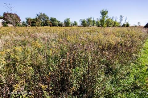 26019 W Renwick Rd, Plainfield, IL 60544 photo 9