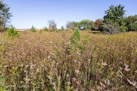 26019 W Renwick Rd, Plainfield, IL 60544 photo 6