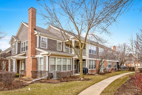 103 Cornell Ct, Glenview, IL 60026 photo 30
