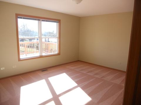 2810 Lektorich Ln, Plainfield, IL 60586 photo 16