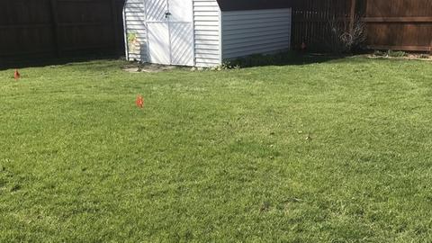 654 E Porter Ave, Watseka, IL 60970 photo 6