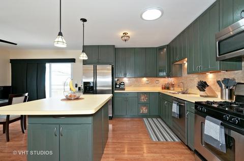 117 Wallace St, Bartlett, IL 60103 photo 3