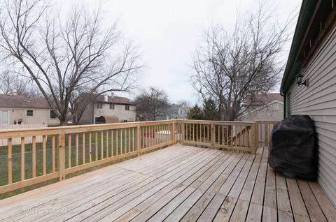 117 Wallace St, Bartlett, IL 60103 photo 11