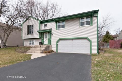 117 Wallace St, Bartlett, IL 60103 photo 1