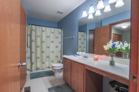 1815 Caton Ridge Dr, Plainfield, IL 60586 photo 18