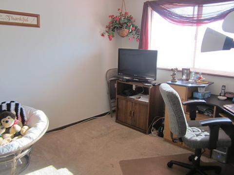1269 Leawood Dr, Elgin, IL 60120 photo 22