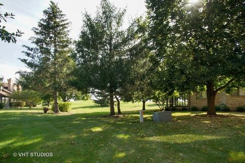 1656 Pebble Beach Dr, Hoffman Estates, IL 60169 photo 15