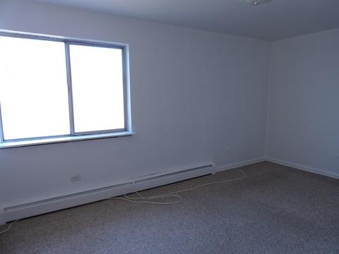 8811 Dee Rd, Des Plaines, IL 60016 photo 33
