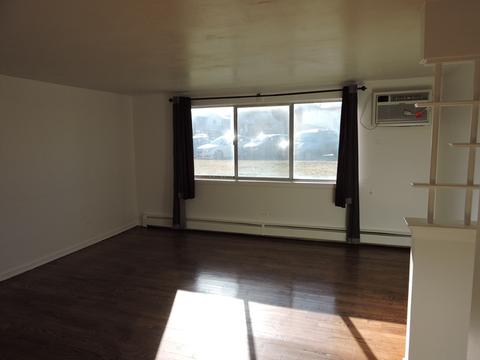 8811 Dee Rd, Des Plaines, IL 60016 photo 11