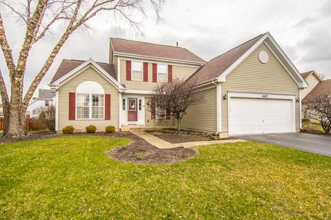 4607 Metcalf Ct, Plainfield, IL 60586 photo 1