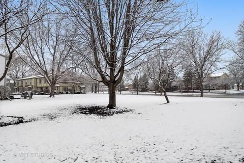 1101 Bunker Hill Ct #D, Wheaton, IL 60189 photo 2