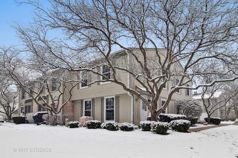 1101 Bunker Hill Ct #D, Wheaton, IL 60189 photo 12