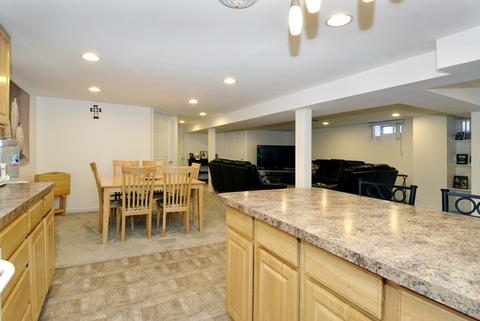 986 S 2nd Ave, Des Plaines, IL 60016 photo 20