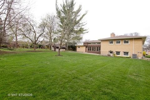 513 S Main St, Mount Prospect, IL 60056 photo 15