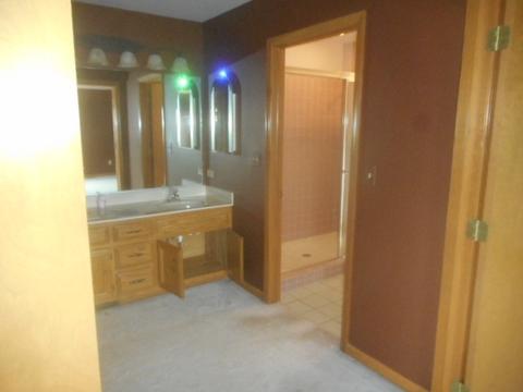 861 Middleton Ln, Bartlett, IL 60103 photo 22