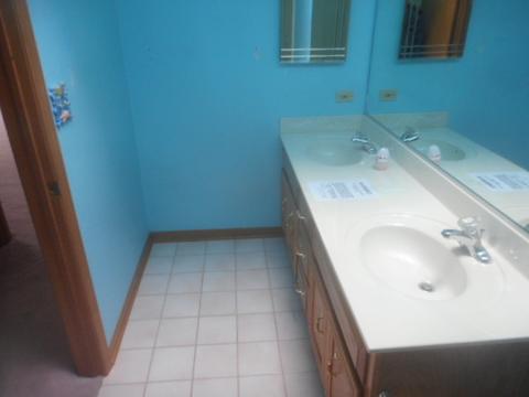 861 Middleton Ln, Bartlett, IL 60103 photo 16