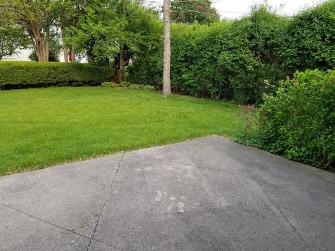 121 Michael Mnr, Glenview, IL 60025 photo 3