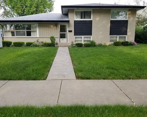 121 Michael Mnr, Glenview, IL 60025 photo 1