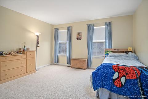 704 Christopher St, Plano, IL 60545 photo 19