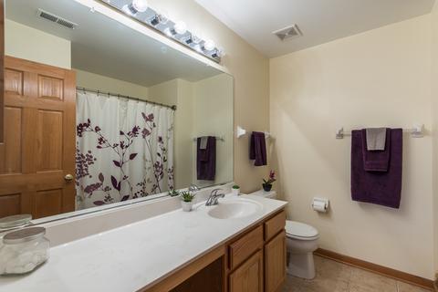 1206 Telluride Ct, Bartlett, IL 60103 photo 19