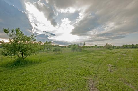 17810 Streit Rd, Harvard, IL 60033 photo 22