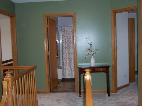 5001 Vermette Cir, Plainfield, IL 60586 photo 29