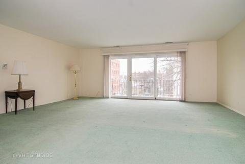 415 Franklin Ave #4E, River Forest, IL 60305 photo 3
