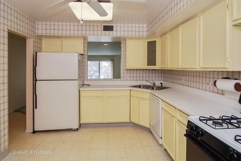 415 Franklin Ave #4E, River Forest, IL 60305 photo 5