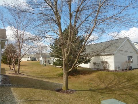 21354 W Juniper Ln, Plainfield, IL 60544 photo 29