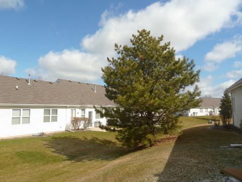 21354 W Juniper Ln, Plainfield, IL 60544 photo 28