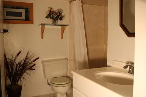 1032 Morton Ave, Elgin, IL 60120 photo 20