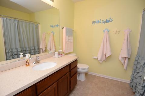372 Jackson Ct, Gilberts, IL 60136 photo 18