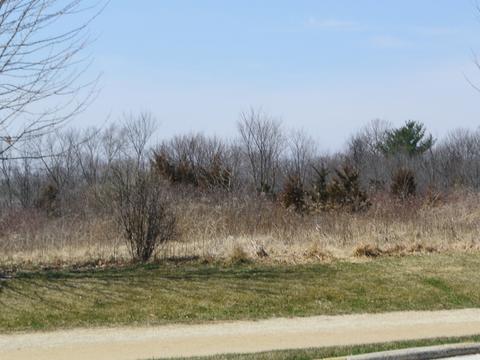 63 Rose Tree Ln, Lindenhurst, IL 60046 photo 34