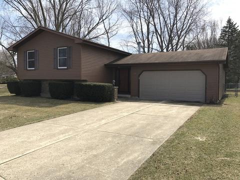 1995 Powder River Path, Elgin, IL 60123 photo 1