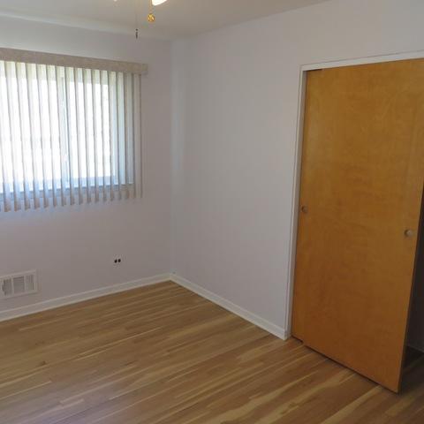 146 Michael Mnr, Glenview, IL 60025 photo 16