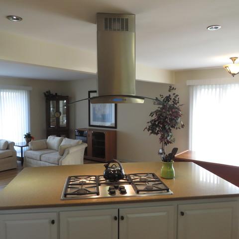 146 Michael Mnr, Glenview, IL 60025 photo 11