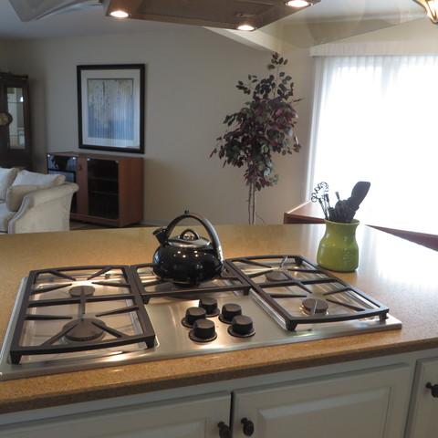 146 Michael Mnr, Glenview, IL 60025 photo 9