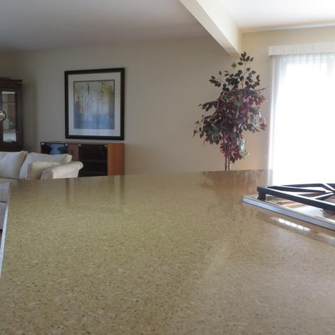 146 Michael Mnr, Glenview, IL 60025 photo 7