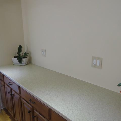 146 Michael Mnr, Glenview, IL 60025 photo 12