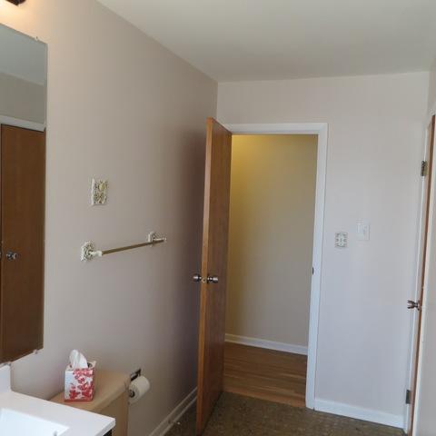 146 Michael Mnr, Glenview, IL 60025 photo 18