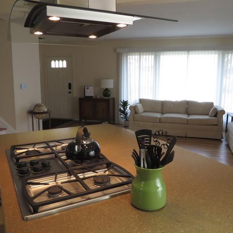 146 Michael Mnr, Glenview, IL 60025 photo 8