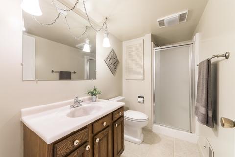 767 W Stearns Rd, Bartlett, IL 60103 photo 24