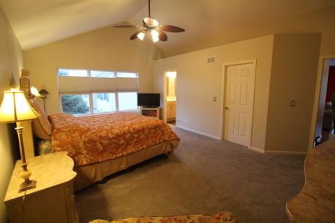 11640 S Decathalon Ln, Plainfield, IL 60585 photo 39