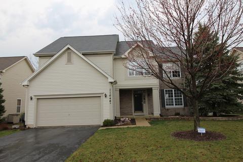 11640 S Decathalon Ln, Plainfield, IL 60585 photo 45