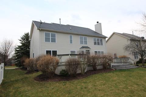 11640 S Decathalon Ln, Plainfield, IL 60585 photo 42