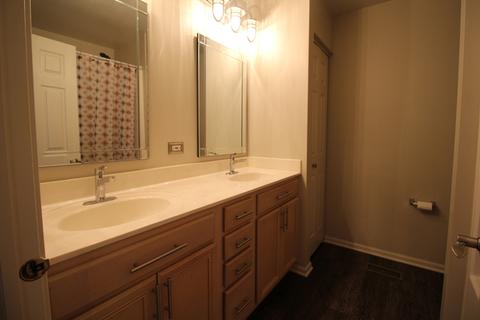 11640 S Decathalon Ln, Plainfield, IL 60585 photo 41