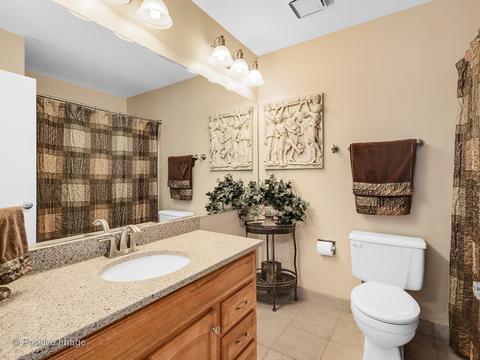 293 Beaumont Ct, Bartlett, IL 60103 photo 14