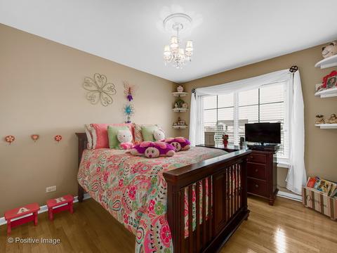 293 Beaumont Ct, Bartlett, IL 60103 photo 15