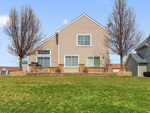293 Beaumont Ct, Bartlett, IL 60103 photo 26